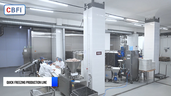 1 Ton per Hour Double Spiral Quick Freezer for Dumplings in Russia