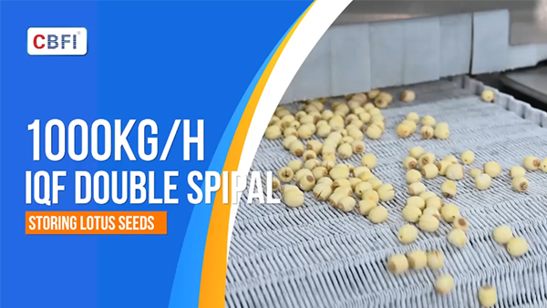 1 Ton per Hour Double Spiral Quick Freezer for Lotus Seeds